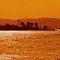 caribbean                                         