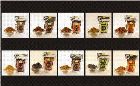 Delia Smith: Ten Spices Used in 'How To Cheat At Cooking'
